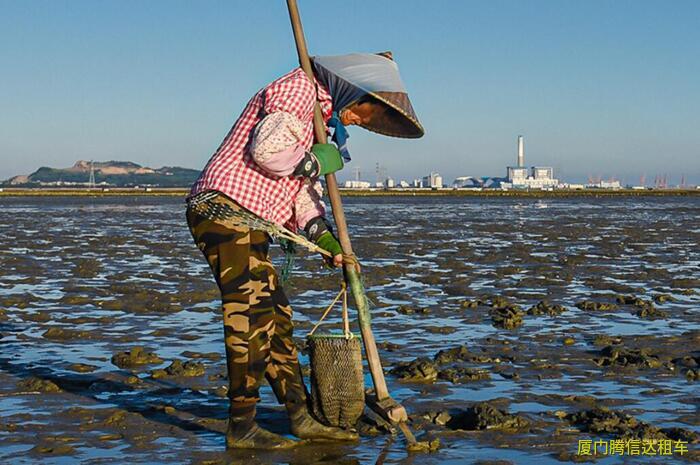 廈門(mén)趕海去哪里比較好時(shí)間